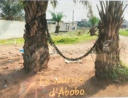 Fin février, le quartier d'Abobo, à Abidjan, a vu fleurir plusieurs panneaux-photos représentant les belles choses perçues aux alentours. Les artisans du projet : les membres du club de la paix, en atelier pratique de 