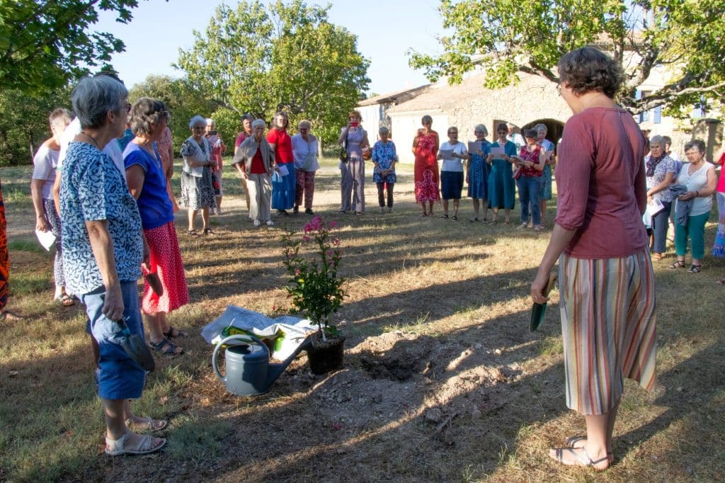 arbre 100 ans pourraque