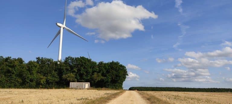 agriculture ou ecologie