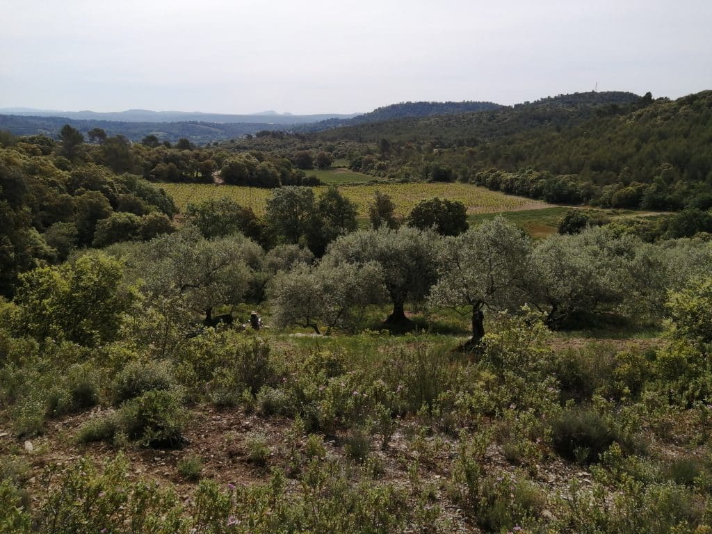 img 20260509 110000