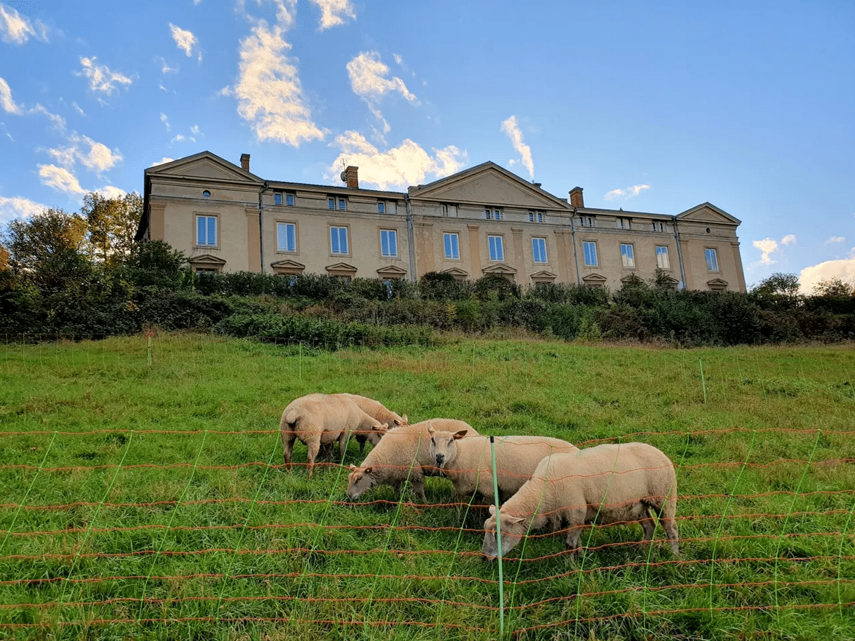 prairie châtelard