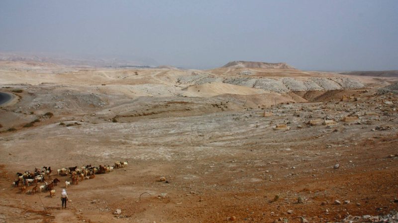 desert