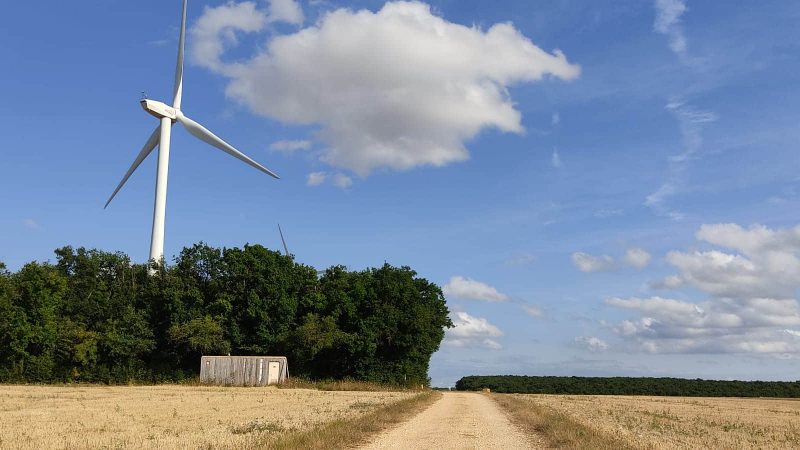 agriculture ou ecologie