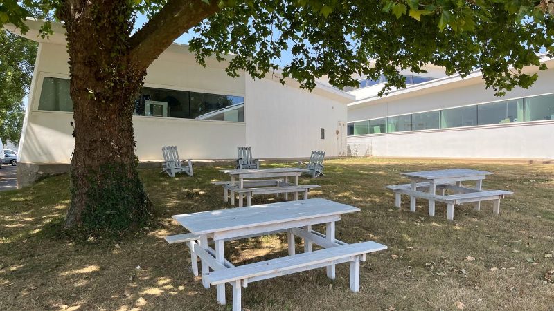 espace pique nique partagé