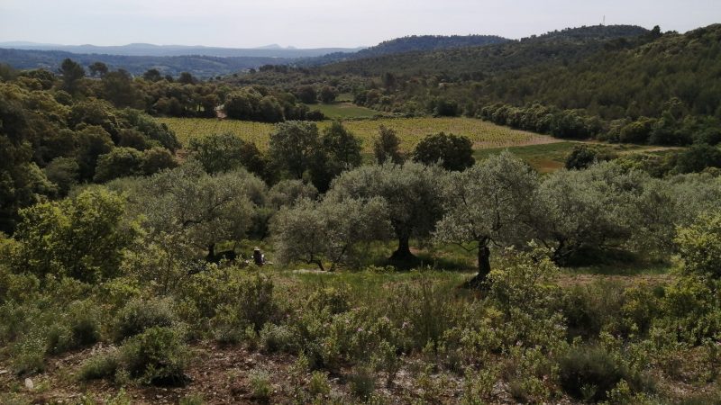 img 20260509 110000